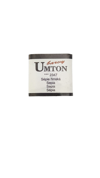 UMTON watercolor - Sepia